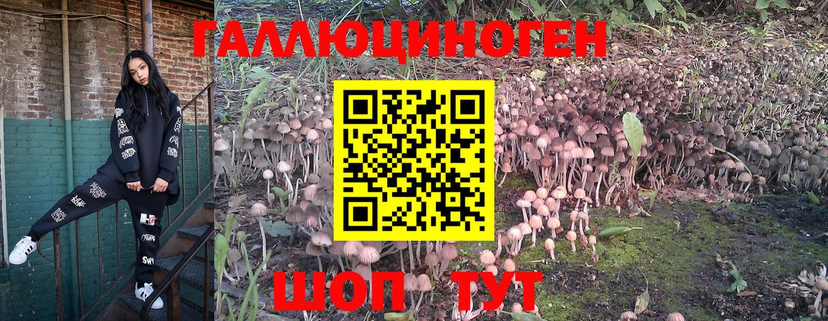 Галлюциногенные грибы Cubensis  Псилоцибиновые грибы MAGIC MUSHROOMS  Первоуральск  Вход с VPN 
